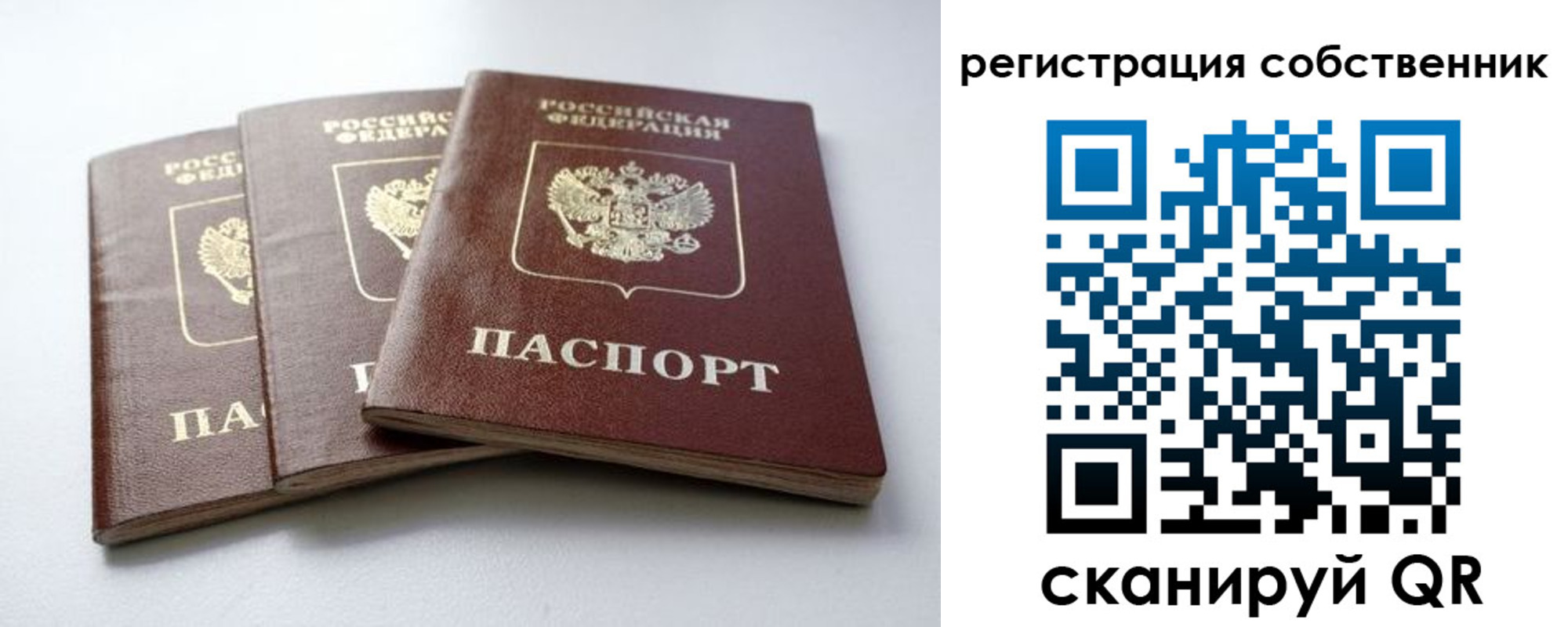 прописка для школы в Похвистнево